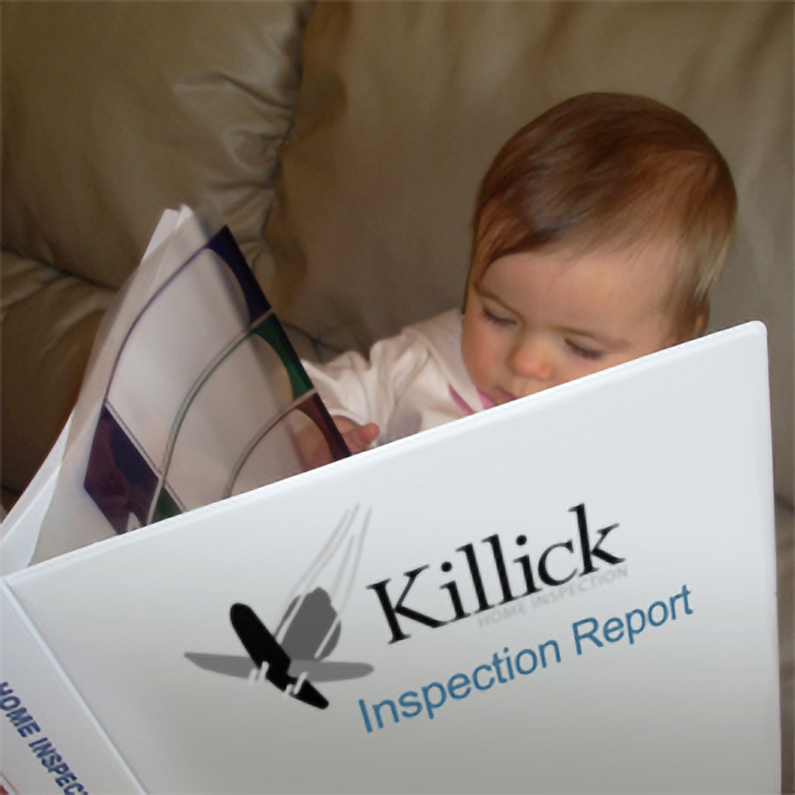 Easy to Read Report